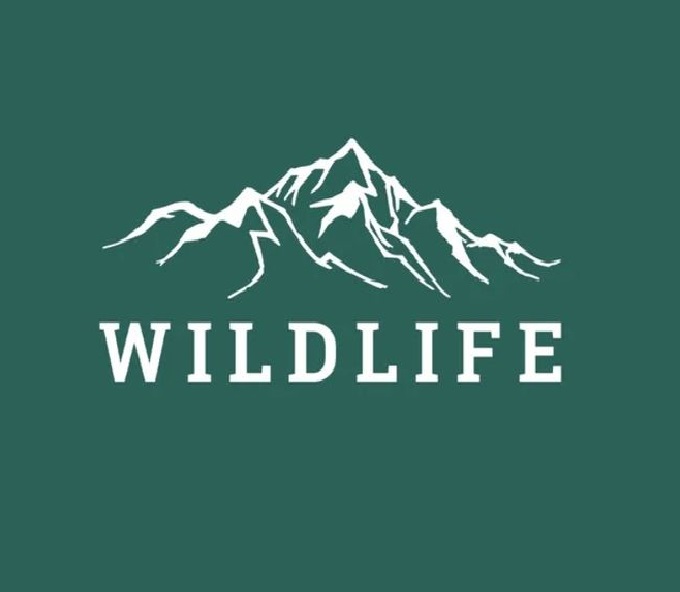 Wild Life Shop